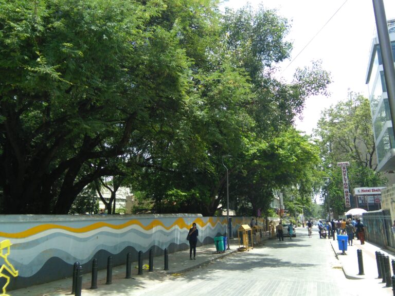 Exploring The Best Things To Do On Church Street, Bangalore